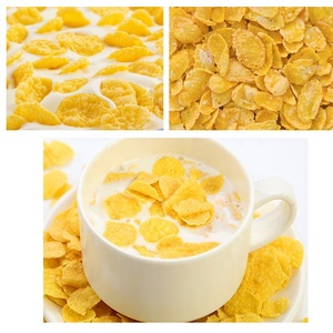 Línea Profesional <span class=keywords><strong>de</strong></span> Extrusión <span class=keywords><strong>de</strong></span> Cereales para Desayuno, Máquina Automática para Secar, Tostar y Rociar Azúcar en Hojuelas <span class=keywords><strong>de</strong></span> Maíz - Product Image 6