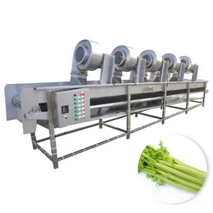 Vegetable and Fruit Bubble Cleaning Drying Machine Lettuce Carrot Apple Tomato Sweet Potato Strawberry Washing Machine