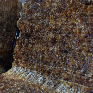 ยาง SVR 20จากเวียดนามผู้จำหน่ายที่เชื่อถือได้สำหรับการผลิตยางธรรมชาติ - Product Image 1