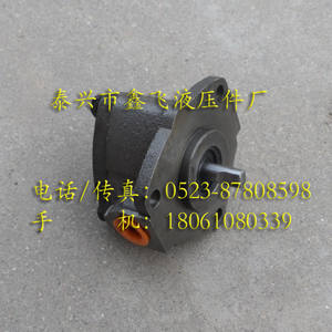 Pompe à rotor cycloïdal Ningjiang KBB, taille de lot 4,5 ml/R, pompe à huile à denture hélicoïdale avec pompes hydrauliques YG3612 - Product Image 1