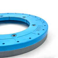 Meule diamantée à sec 250 mm pour le traitement des bords céramiques, ponceuse de sol, personnalisable OEM |   Technologie de refroidissement brevetée 1