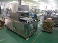 Machine automatique à dénoyauter les fruits, extracteur de pépins de dattes, dénoyauteur de dattes de palmier