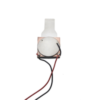 2 transducteurs ultrasoniques LIDIT en acier inoxydable pour exfoliation esthétique, 23,5-28 kHz, longue durée de vie, pour applications médicales et de soins de santé, à assembler