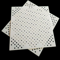Plaques en nylon, HDPE et PP personnalisées non toxiques, épaisseur 10 mm, plaque en plastique perforée avec services de dessin et de découpe
