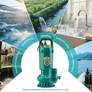 Pompe à eau submersible 3 pouces 24V 25m ³/h DC Brushless <span class=keywords><strong>Water</strong></span> Pump Agriculture for Irrigation 375W 5m High Lift Pump - Product Image 2