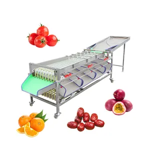 Jujube automatique Dates Légumes Fruits Séparateur Niveleuse Cerise/Litchi/Oignon Classement Taille Machine de tri