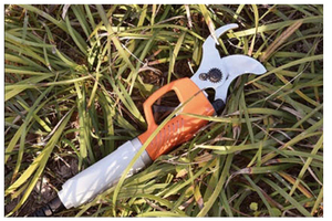 Forbici Elettriche <span class=keywords><strong>a</strong></span> <span class=keywords><strong>Batteria</strong></span> DC36V per Potatura, Utensile Rivestito per Taglio Rami di Alberi da Giardino - Product Image 3