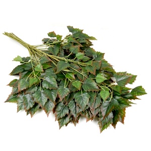 Feuilles de plantes artificielles d'arbre de bouleau blanc de feuillage réaliste de nouveau Style pour la décoration - Product Image 1