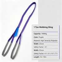 Sling de levage plat en polyester double épaisseur VINEET CE 1T violet haute résistance 25 mm x 5 m pour palan de pont roulant