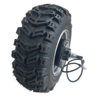 Moteur moyeu servo DC sans balais 48V 1000W étanche IP67 avec encodeur et pneu de tracteur de 16 pouces pour châssis tout-terrain 4x4 6x6 et voiturette de golf