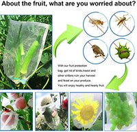 Fruit Insectennetzak/Boombescherming Anti Insectennetzakken Guave Fruitbeschermingszak/Fruitnetbescherming Zak Insect