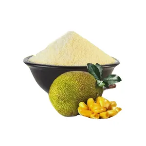 Bom Fornecedor 100% Natural Orgânico Paramita Pó Liofilizado Pó De Frutas Em Pó De Jaca Liofilizado para Drin Sólido