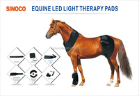 Thérapie infrarouge envelopper les produits de thérapie pour chevaux, étal pour chevaux, thérapie à la lumière rouge