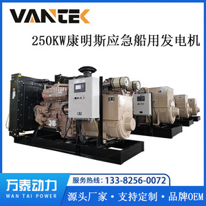 เครื่องกำเนิดไฟฟ้าดีเซล Jiangsu Wantai 250kW ระบายความร้อนด้วยน้ำ ควบคุมแรงดันไฟฟ้าอัตโนมัติ สำหรับใช้งานทางทะเล - Product Image 5