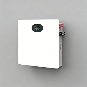 ระบบจัดเก็บพลังงานภายในบ้านแบบติดผนัง 10kWh 51.2V 100Ah LiFePO4  แบบออฟกริด/ไฮบริด พร้อมระบบจัดการแบตเตอรี่อัจฉริยะ (Smart BMS) ป้องกันน้ำและฝุ่นระดับ IP54  แบบออลอินวัน - Product Image 6