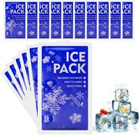 Pack de glace sèche en gel pour glacière alimentaire jetable en plastique personnalisable avec logo, feuille de congélation avec logo pour boîte à lunch
