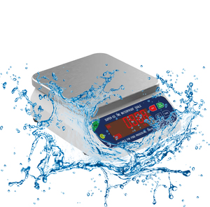 Multifunctional IP68 Waterproof <strong>Electronic</strong> Platform <strong>Scale</strong> - Product Image 3