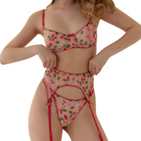 Ensemble de lingerie en résille transparente à imprimé fraise avec soutien-gorge à armatures, porte-jarretelles découpé, string et lanières de jambe, vente en gros, marque privée
