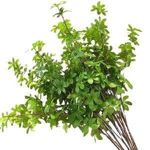 Decoración para el Hogar, Ramo de Plantas Decorativas para Oficina, Decoración de Jardín, Personalizable, Imitación de Flores Artificiales, Plantas Artificiales - Product Image 5