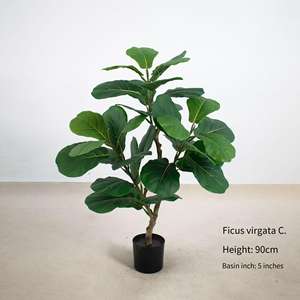Jade Horizon, <span class=keywords><strong>plante</strong></span> artificielle durable et écologique, ficus, <span class=keywords><strong>d</strong></span>écoration de jardin <span class=keywords><strong>d</strong></span>'intérieur et <span class=keywords><strong>d</strong></span>'extérieur, vente en gros, <span class=keywords><strong>chambre</strong></span> à coucher - Product Image 4