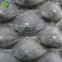 Disesuaikan Fiberglass bagasi luar ruangan buatan tanggal pohon palem pohon buatan untuk dekorasi taman pohon palem buatan dijual