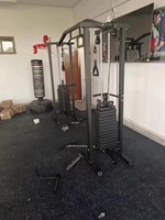 Machine de musculation professionnelle à double câble croisé avec pile de poids de 100 kg, poulie réglable, équipement de gym en fer pour la musculation
