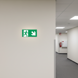 Uscita di emergenza verso il basso segno freccia destra-300 in PVC luminescente * 160mm - Product Image 3