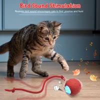 Jouet Interactif pour Chat – Balle Rechargeable USB avec Son d'Oiseau Réaliste, Jouet pour Animaux Anti-Dépression, Cadeau Amusant pour Chats et Chiens