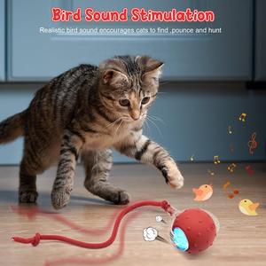 Interaktif kedi oyuncak USB şarj edilebilir topu oyuncak halı üzerinde gerçekçi kuş ses <span class=keywords><strong>Pet</strong></span> oyuncak anti-depresyon kediler ve köpekler için eğlenceli hediye - Product Image 2