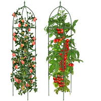 Offre Spéciale : Arche de Jardin en Fer Treillis Thermolaqué de 1,80 m de Haut pour Roses Grimpantes et Fruits – Support de Treillis et Portail de Clôture