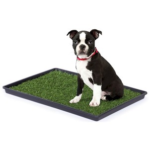 Biodegradable Grass <strong>Seed</strong> <strong>Mat</strong> Turf Artificial Grass <strong>Mat</strong> - Product Image 4