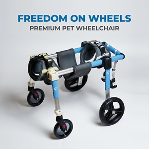 <span class=keywords><strong>Silla</strong></span> <span class=keywords><strong>de</strong></span> <span class=keywords><strong>Ruedas</strong></span> Ajustable <span class=keywords><strong>para</strong></span> <span class=keywords><strong>Perros</strong></span>, <span class=keywords><strong>para</strong></span> Rehabilitación <span class=keywords><strong>de</strong></span> Patas Traseras, Ligera, <span class=keywords><strong>de</strong></span> Aluminio, Ayuda <span class=keywords><strong>de</strong></span> Movilidad <span class=keywords><strong>para</strong></span> <span class=keywords><strong>Perros</strong></span> Paralizados o Discapacitados - Product Image 3