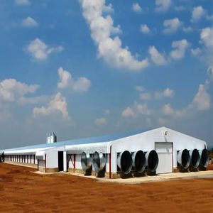 منزل دجاج بسعة كبيرة ، هياكل فولاذية للدواجن ، مباني زراعية جاهزة اقتصادية - Product Image 4