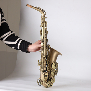 Nouveau style, saxophone alto professionnel EB antique de haute qualité, instrument de musique de groupe, fabriqué en Chine - Product Image 5