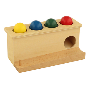 LT052 Đẩy Đồ Chơi Montessori Vật Liệu Giáo Dục Bằng Gỗ Thiết Bị Đồ Chơi Montessori Cho Ami Và AMS - Product Image 3