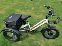 Tricycle électrique à 3 roues de 20x750 pouces, batterie 4.0 w, pour personne handicapés, livraison de cargaison