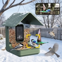 Mangeoire à oiseaux 4K Ultra HD avec identification des espèces par IA, batterie 10000 mAh et vision nocturne couleur pour les amateurs de nature en plein air
