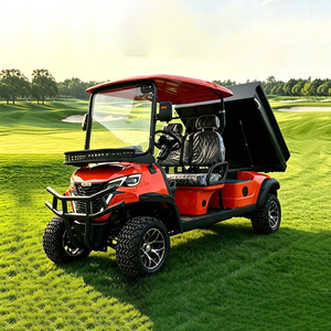 Voiturette de golf électrique à 4 roues homologuée pour la route avec clignotants à vendre - Product Image 5