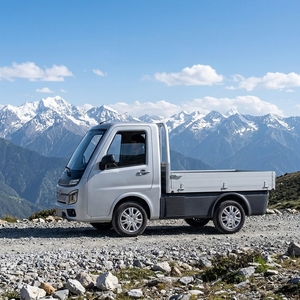 Solución de Flota de Camiones Ligeros Eléctricos Runhorse TEV |   Camioneta Eléctrica de Carga con Capacidad de 650 kg y Alcance de 200 km para Logística Urbana en Alquiler - Product Image 1
