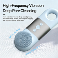Nouveau Nettoyeur Facial Électrique Portable en Silicone, Démaquillant Nettoyant les Pores, Compresse Chaude-Froide, Massage Vibrant pour le Visage