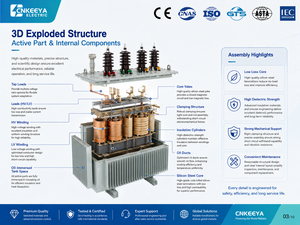 Transformador de Potencia Trifásico Sumergido en Aceite S11-M 11kV 125kVA-5000kVA - Totalmente Sellado, Bobinado de Cobre, Baja Pérdida, Salida 380V, Directo de Fábrica - Product Image 4