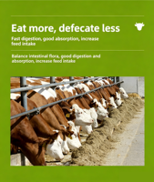 YIMER Additif alimentaire pour bétail à base d'acides aminés, prémélange favorisant la croissance, prémélange d'acides aminés pour l'engraissement du bétail