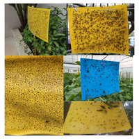 Piège à insectes jetable bleu/jaune à colle pour la surveillance des ravageurs en serre – Éliminateur de nuisibles écologique
