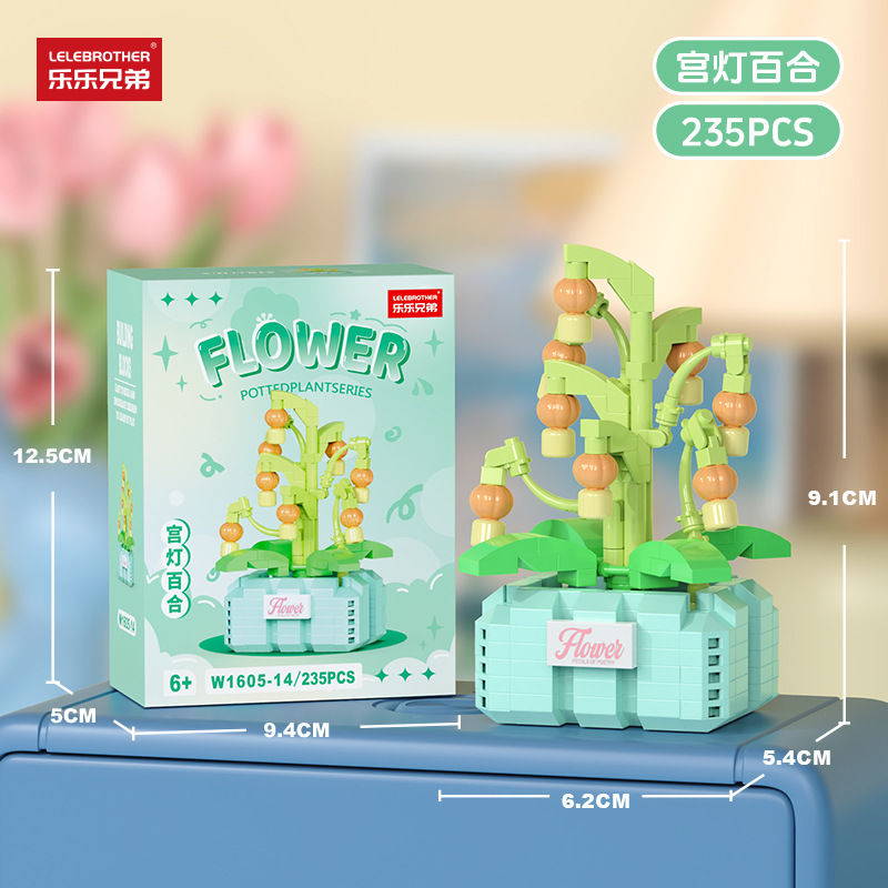 Palace Lantern Lily [Color Box]