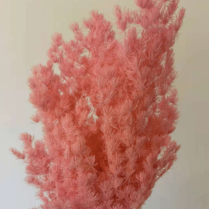 Mazzo di Fiori di Felce Ming Conservata da 80 Grammi per Decorazioni di Matrimoni, Casa e Feste in Ufficio - Product Image 5