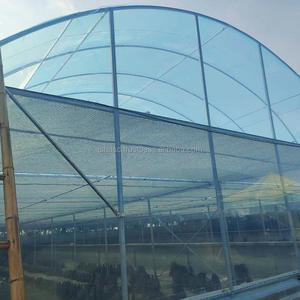 Invernadero Agrícola de un Solo Tramo a Precio Económico al por Mayor, Invernadero de Túnel de Polietileno de 3060 mm para Cultivo de Vegetales - Product Image 6