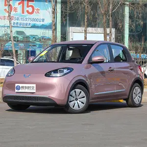 2023 New Wuling Bingo 200km Small New Energy Vehicles Pure Electric Cars Mini EV Car