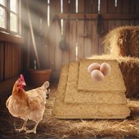 Nouvelle coussinette de nidification en fibre de coco marron et nichoirs pour poules, litière réutilisable pour poules, tapis de sol 30x30cm avec garantie d'un an