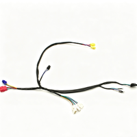 Harness Kabel Multi-branch Kustom dengan Konektor Plastik Berwarna-warni untuk Modul Pendingin dan Kontrol Elektronik