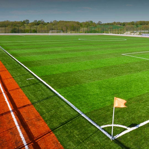 <span class=keywords><strong>Gazon</strong></span> NWT pour terrain de football - Product Image 1
